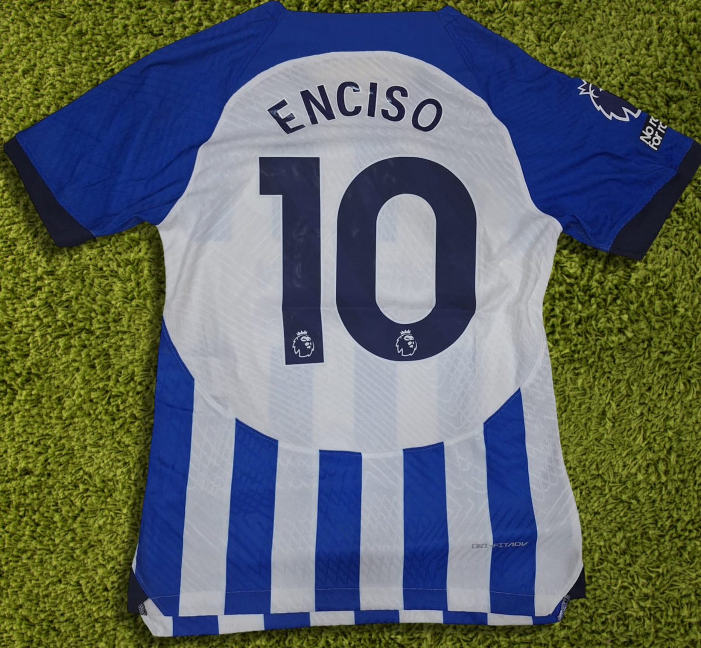 Brighton & Hove #10 Enciso